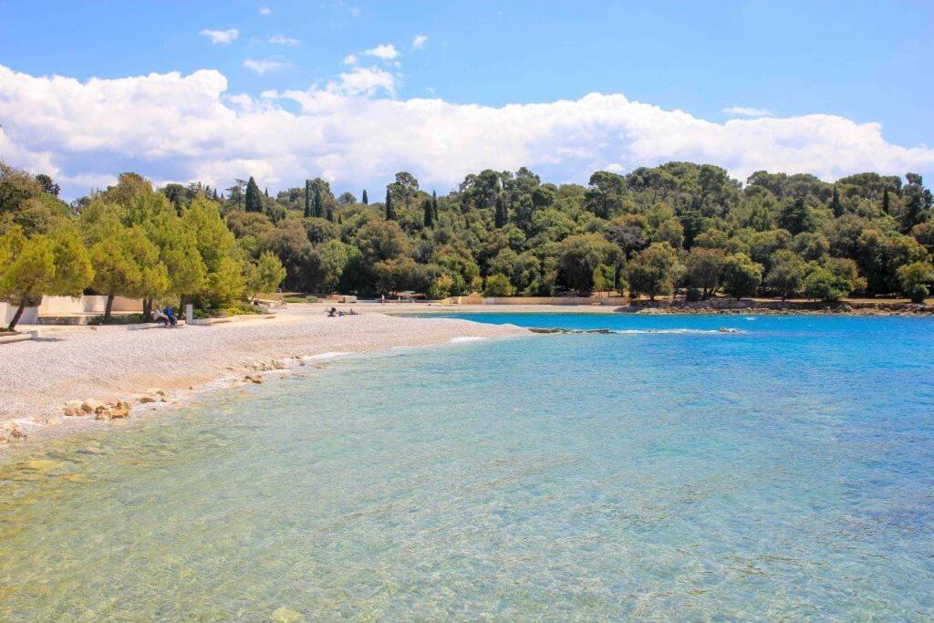Vila Una With Private Pool Near Rovinj - Open 2022 Rovinjsko Selo Exteriér fotografie